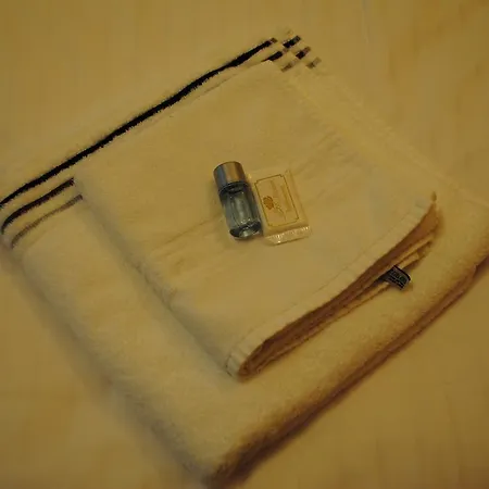 Antica 게스트하우스 린츠