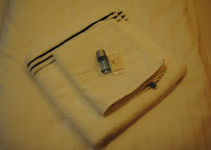 Antica Konukevi Linz